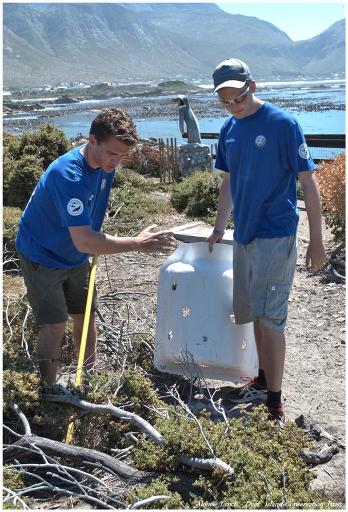 Guys working on the beach